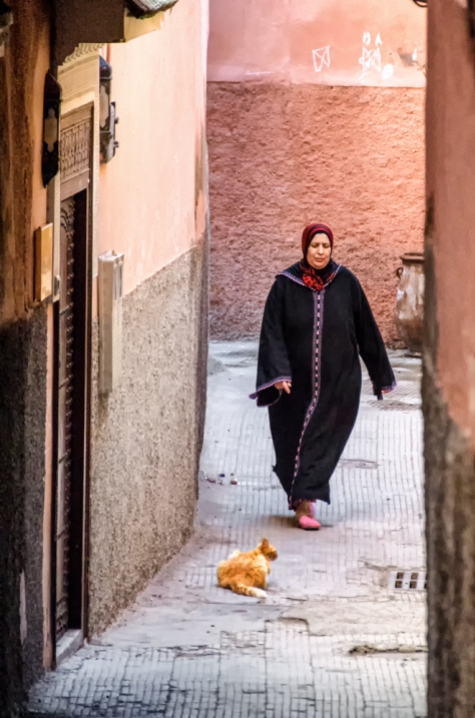 Maroc-2014-04-83